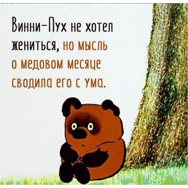 http://s02.yapfiles.ru/files/2298174/13.jpg