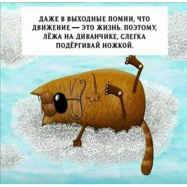 http://s02.yapfiles.ru/files/2298176/15.jpg