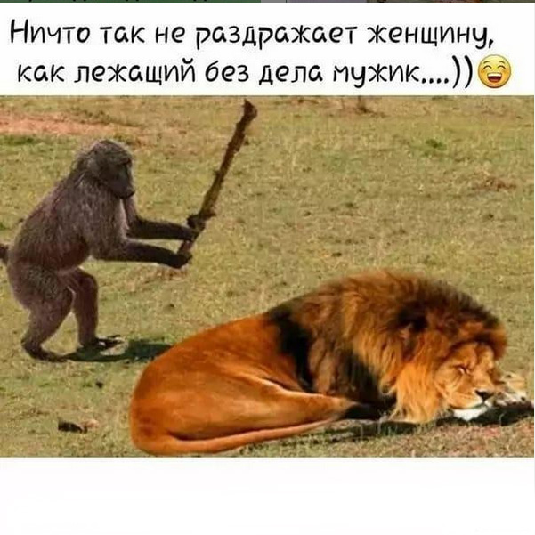 http://s02.yapfiles.ru/files/2298182/20.jpg
