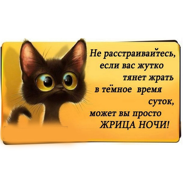 http://s02.yapfiles.ru/files/2298184/22.jpg