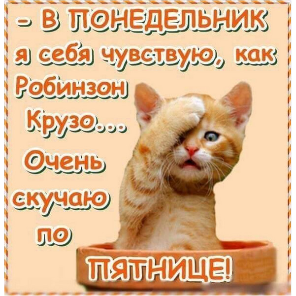 http://s02.yapfiles.ru/files/2298196/29.jpg