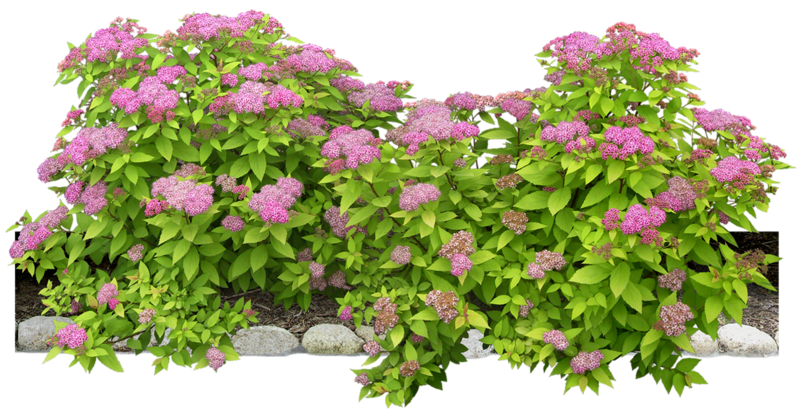 http://s02.yapfiles.ru/files/461216/klumba.png