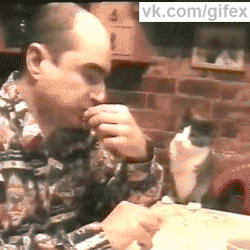 1358184957_1264493270.gif