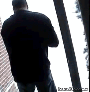 cat_snow.gif