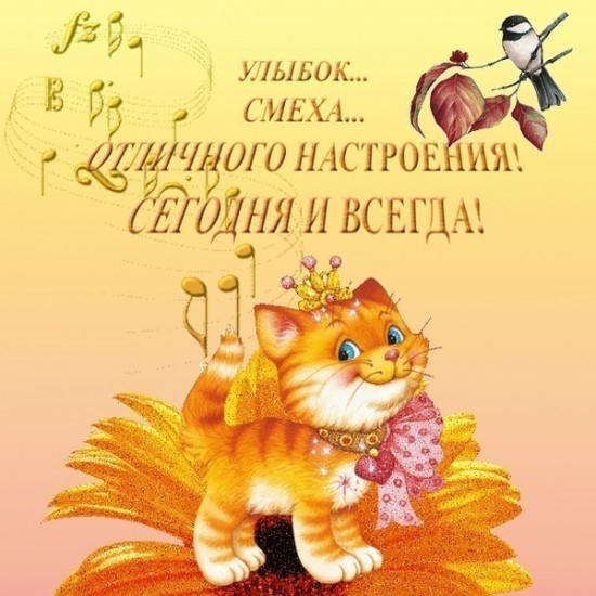 b5e96876bc4c.jpg