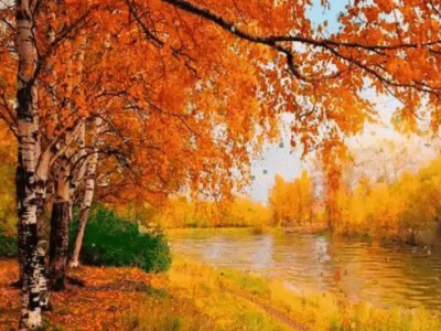Осень-листопад-река