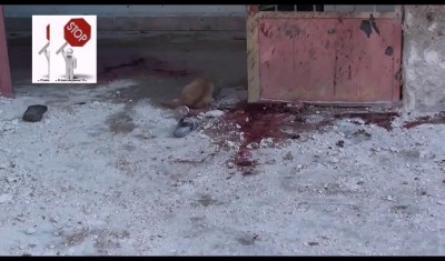 Котэ поедает останки « Аллах акбар »