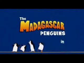 Мадагаскар Прикол