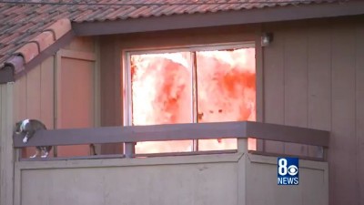 Cat Escapes Apartment Fire in Las Vegas