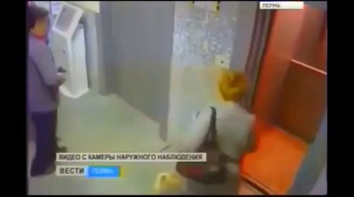 Elevator Trapped Dog Saved By Russian Man (CAUGHT ON TAPE)