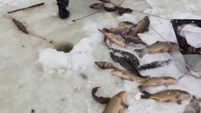 зимняя рыбалка мечты