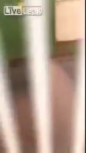 Meanwhile in Berlin 18+