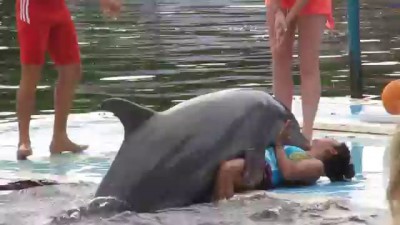 Dolphin humps girl