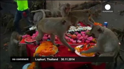 Праздник желудка для обезьян в Таиланде