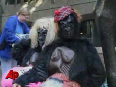 Raw Video: Gorillas Run Thru London