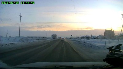 Водитель расстрелял пса