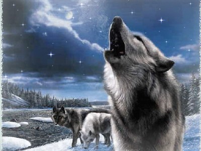 Nightwish - 7 days to the wolves