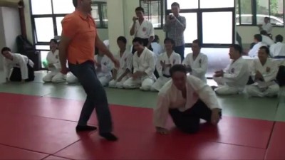 Turkish Submission Wrestling vs Aikido