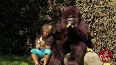 Говорила им горилла, приговаривала... (Hungry Gorilla Attack Prank)