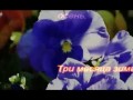 Валерий Ободзинский - Вечная весна (караоке)