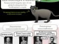17 фактов о кошках