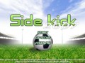 Side kick 2007