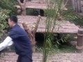 Baby Panda Wants To Play With Tired Zoo Keeper | Funny Video