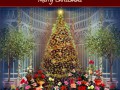 Christmas in greenhouses (Greeting Christmas)