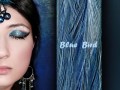 Radio Resident: N'aam - Blue Bird