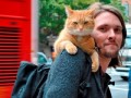 Джеймс Боуэн - Уличный кот по имени Боб