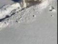 Determined Dog Trudges Through Deep Powder || ViralHog