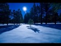 В лунном сиянии снег серебрится - Евгения Смолянинова
