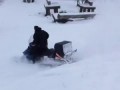 Придавило снегоходом snowmobile hard fail
