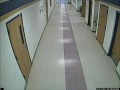 Олень в коридоре