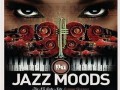 VA - Nu Jazz Moods
