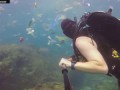 British diver films deluge of plastic waste off Bali