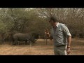 Носорог гоняет съёмочную группу))) Rhino attacks filming crew!!!