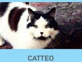 CATTEO - CATTEO - EP3 (Full Album)