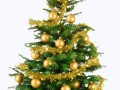 kisspng-christmas-tree-gift-fir-5b09cd5caab438.0022626415273690526992