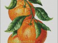 ApelsinVN