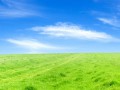 Nature___Fields_Green_field_beneath_a_blue_sky_015103_30