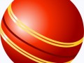 244-2443480_open-cricket-ball-vector-png