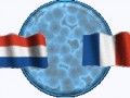 bouton_drapeau_hollandais_francais