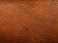 leather_texture404