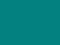 Цвет окраски птицы чирок (Сине-зеленый)	#008080	0	128	128