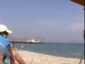 Йипун-трава - нв крымском пляже