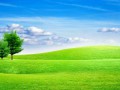 trees_in_the_field_sky_nature_meadows_grass-vaSw
