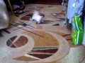 Чихуахуа жжет, Chihuahua play pranks