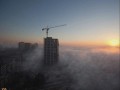 Телявивский туман.
