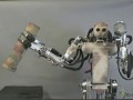 Многофункциональный робот BEAR